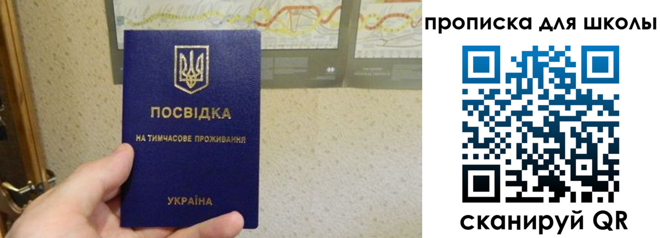 найти адрес прописки в Волосово